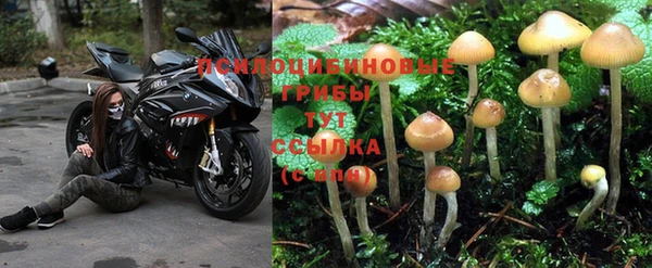 скорость Михайловка
