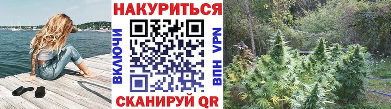 Бошки марихуана LSD WEED  магазин  наркотиков  Тихорецк 